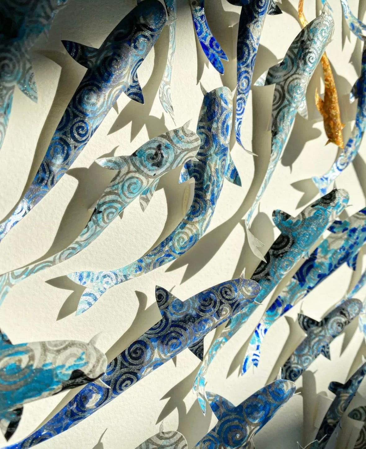 GO YOUR OWN WAY - SHOAL OF KOI