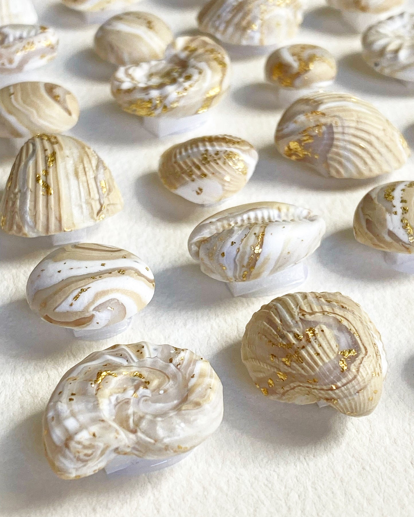 COASTAL RICHES