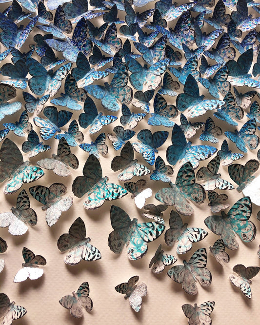 FIND YOUR WINGS AND FLY AWY - INTO THE BLUE