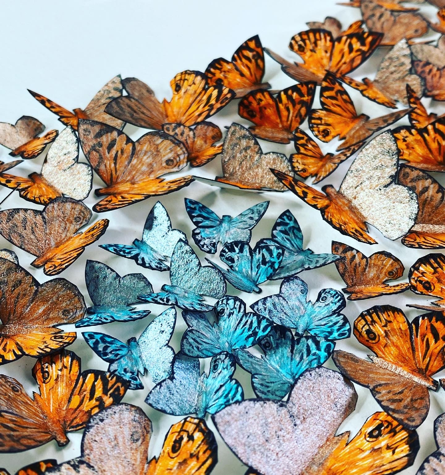 FIND YOUR WINGS - YIN AND YANG