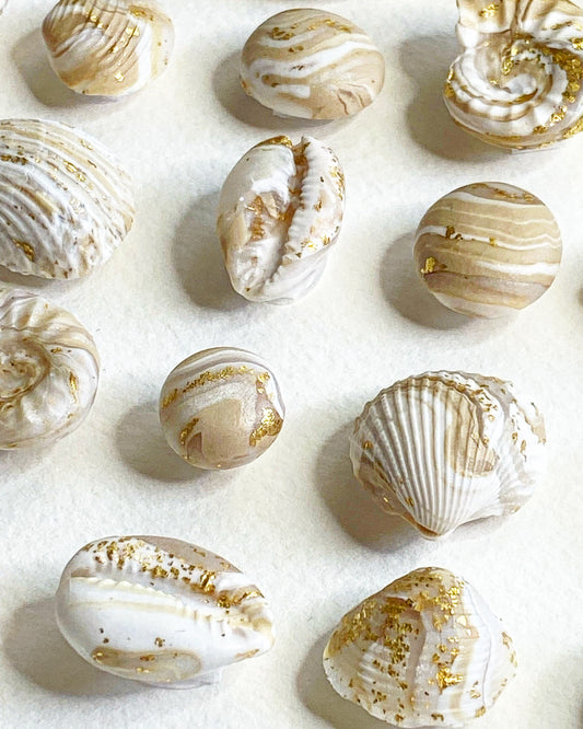 COASTAL RICHES