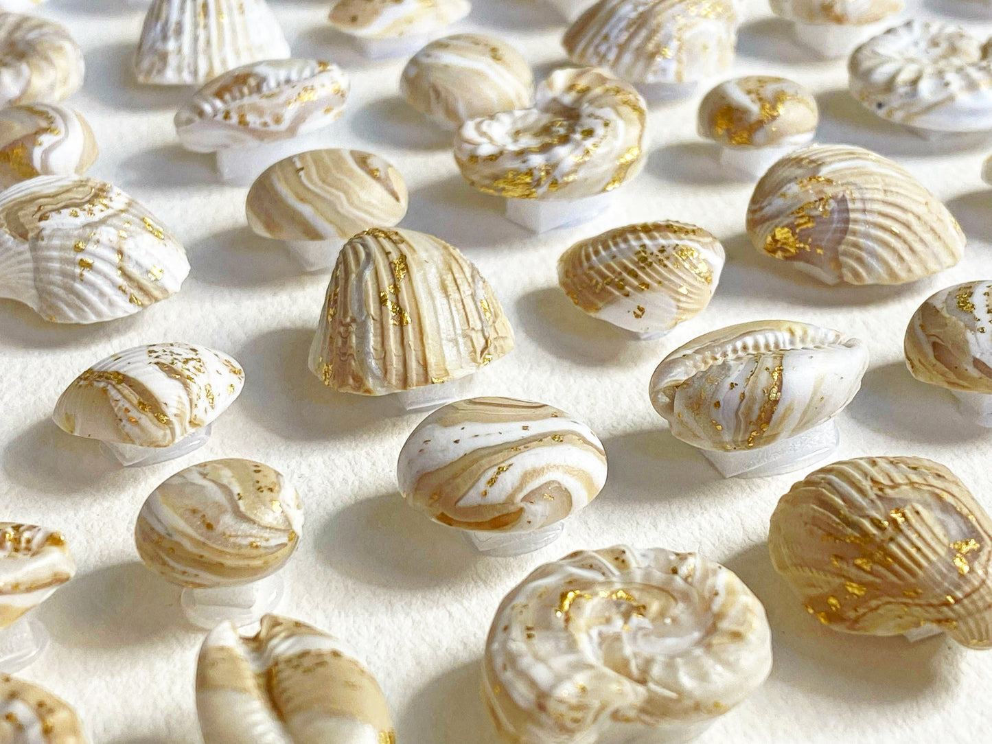 COASTAL RICHES