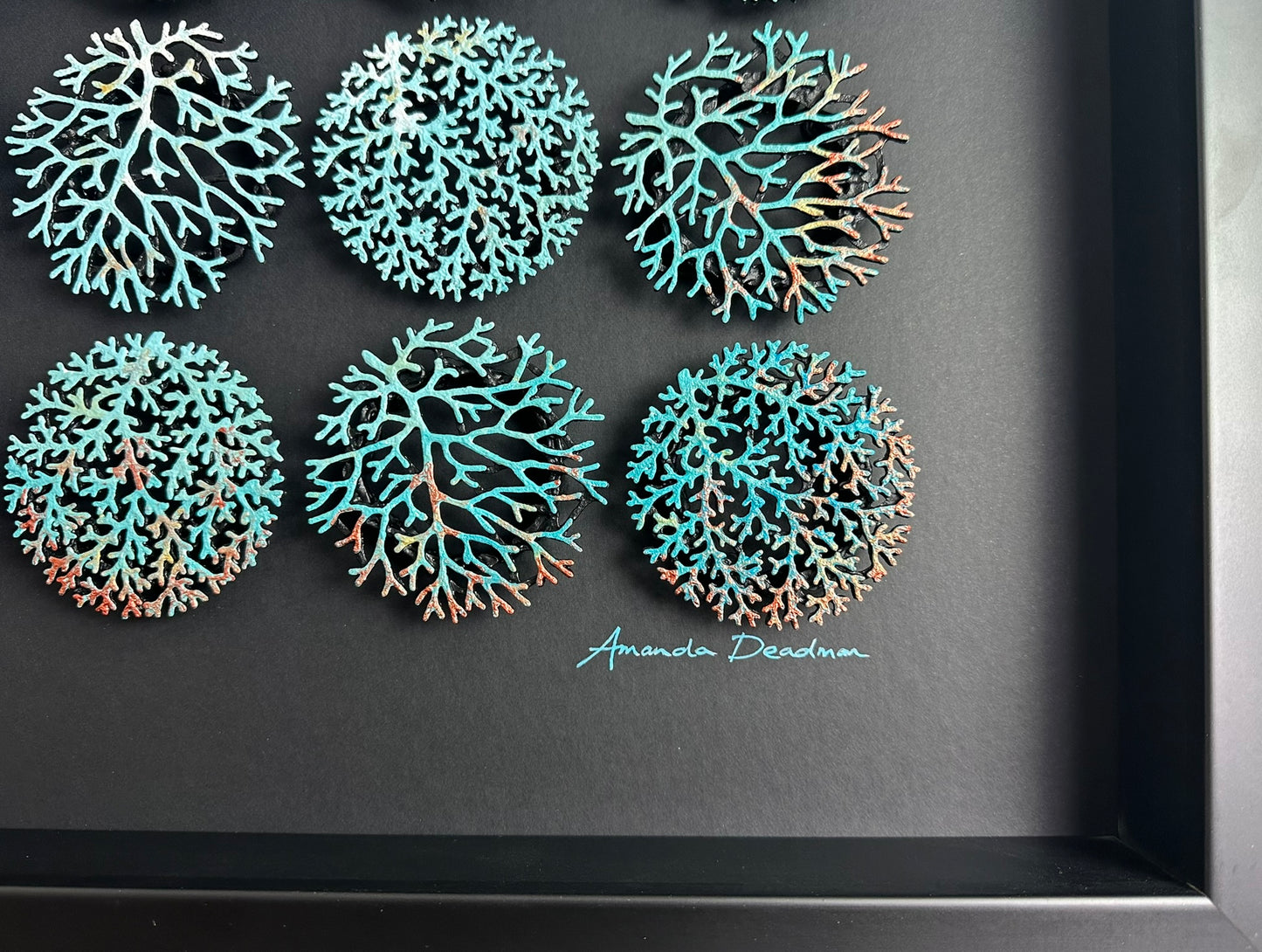 CORALLIUM