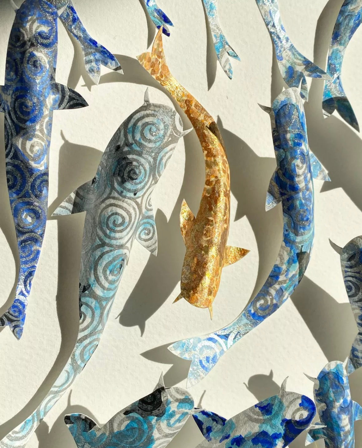 GO YOUR OWN WAY - SHOAL OF KOI