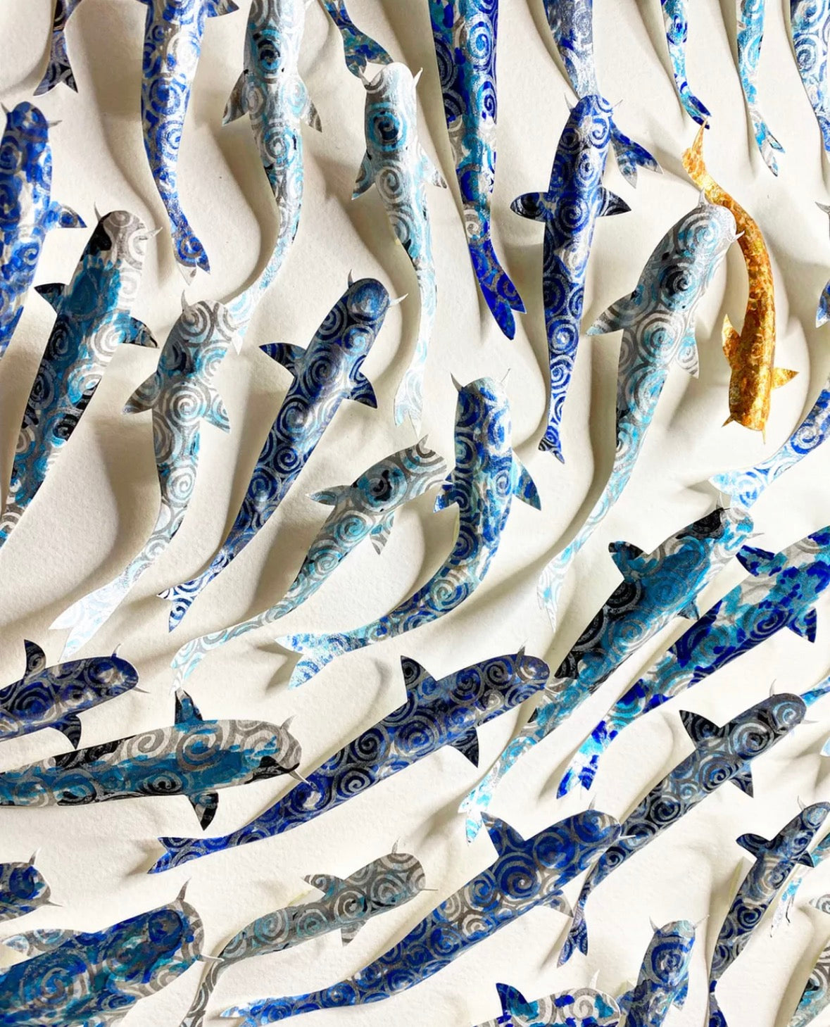 GO YOUR OWN WAY - SHOAL OF KOI