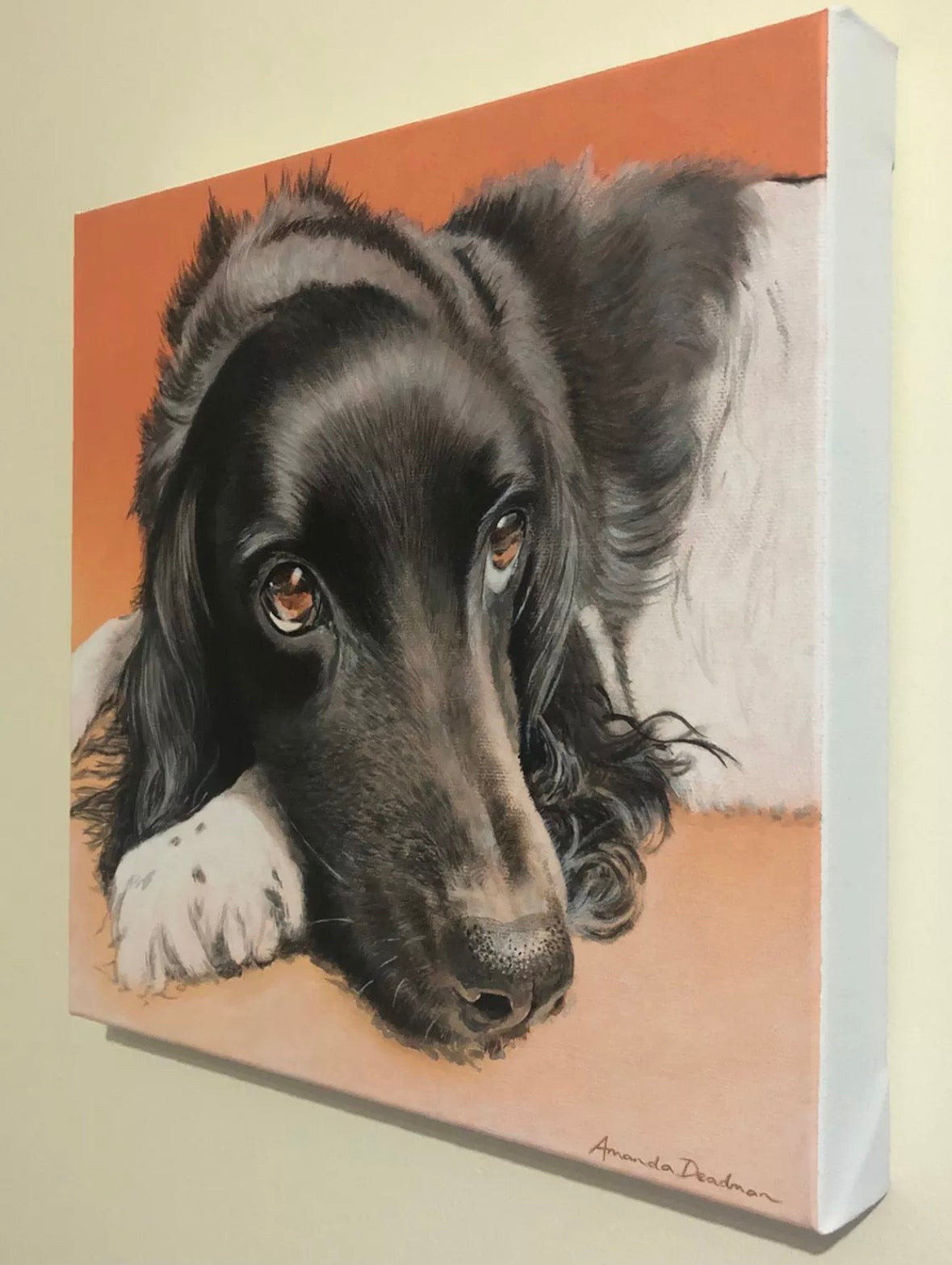 HEIDI