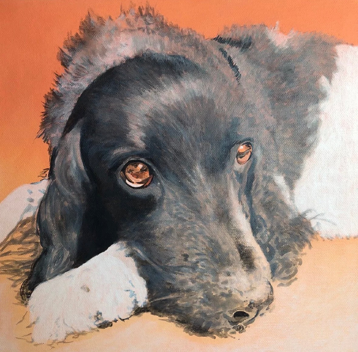 HEIDI