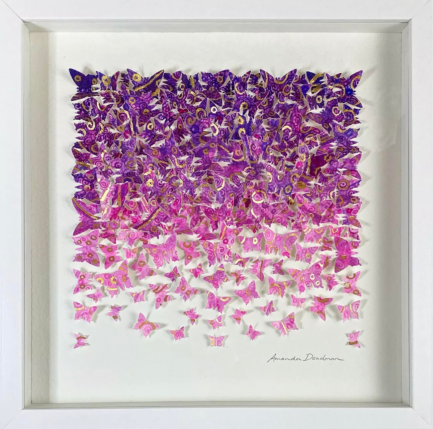 FIND YOUR WINGS AND FLY AWAY - EVENING LIGHT