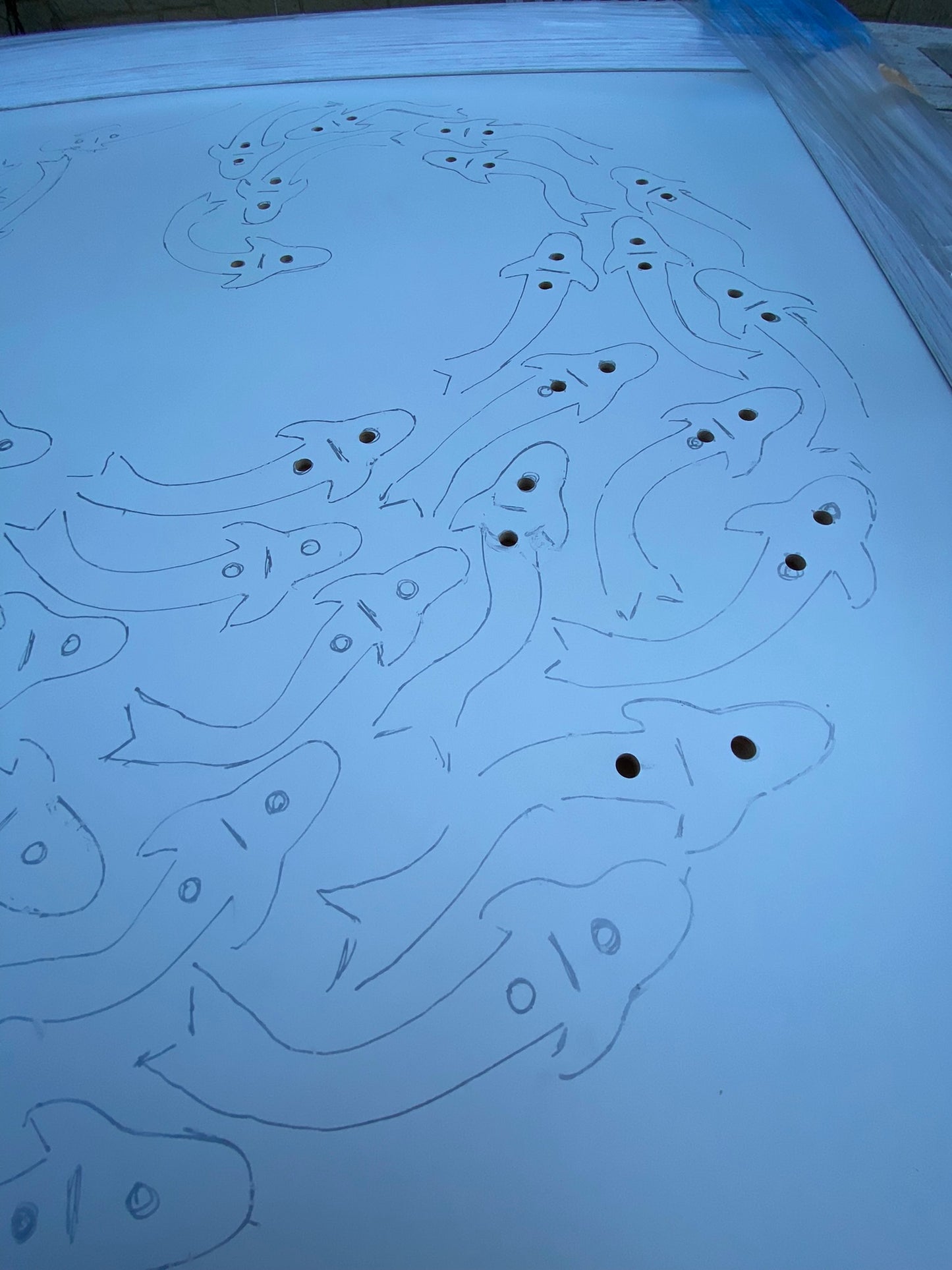 CIRCLE OF KOI